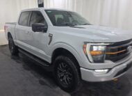 2023 Ford F-150 Tremor Truck SuperCrew Cab