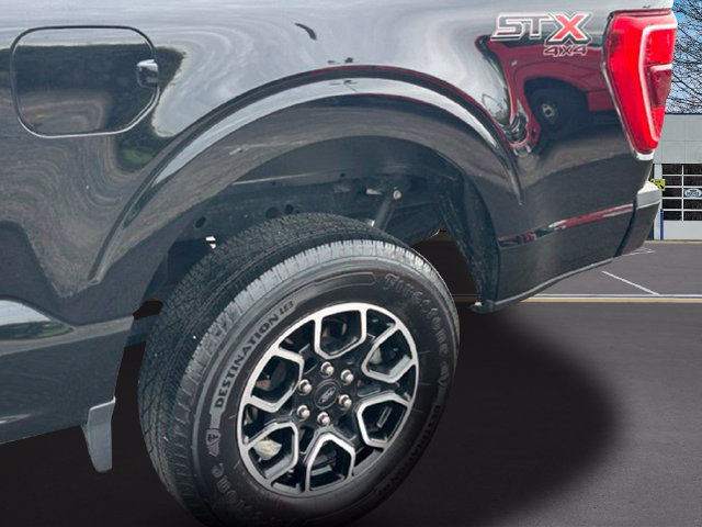 2023 Ford F-150 XL Truck