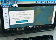 2025 Ford Expedition Max Active SUV