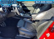 2022 Alfa Romeo Stelvio Quadrifoglio SUV