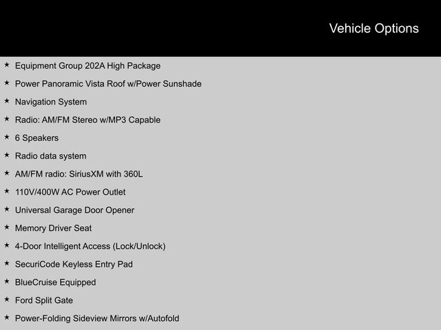 2025 Ford Expedition Active SUV