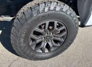 2023 Ford F-150 Tremor Truck SuperCrew Cab