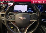 2023 CADILLAC Escalade Sport Platinum SUV