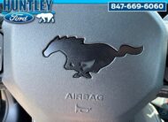 2024 Ford Mustang Dark Horse Coupe