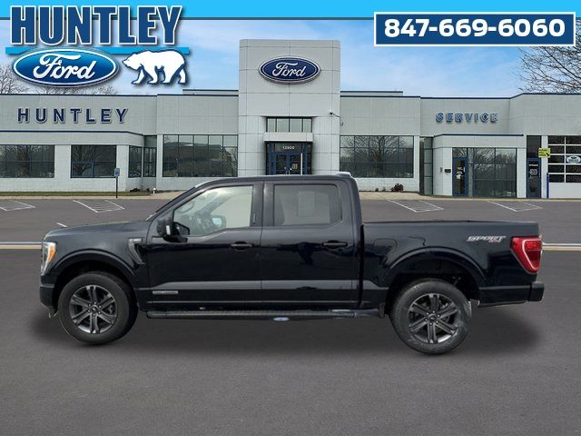2023 Ford F-150 XLT Truck SuperCrew Cab