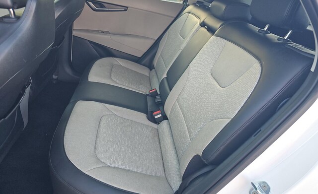 2023 Kia Niro EV Wave SUV