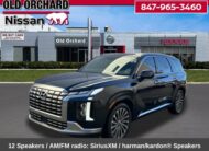 2024 Hyundai Palisade Calligraphy SUV