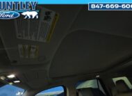 2025 Ford Expedition Active SUV