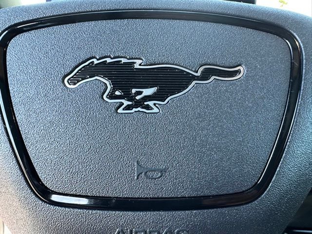 2021 Ford Mustang Mach-E GT SUV