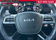 2025 Kia Telluride SX-Prestige X-Line SUV