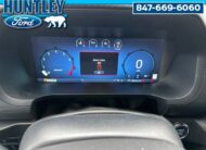 2024 Ford F-150 XLT Truck SuperCrew Cab