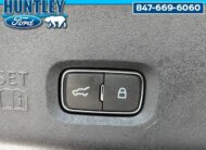 2025 Ford Expedition Active SUV