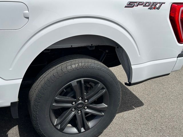 2023 Ford F-150 XLT Truck SuperCrew Cab