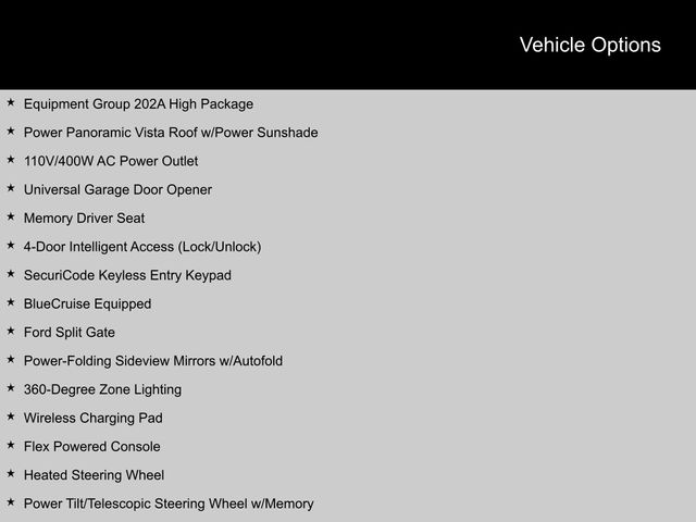 2025 Ford Expedition Max Active SUV