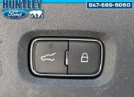 2025 Ford Expedition Max Active SUV