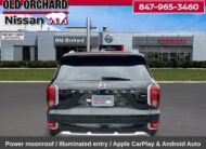 2022 Hyundai Palisade Calligraphy SUV