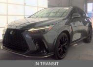 2024 LEXUS NX 350 350 F Sport Handling SUV