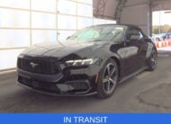 2024 Ford Mustang Ecoboost Premium Convertible