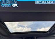 2025 BMW 530i 530i xDrive Sedan