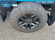 2022 Chevrolet Silverado 1500 LT Trail Boss Truck Crew Cab