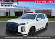 2025 Hyundai Palisade Calligraphy Night Edition SUV