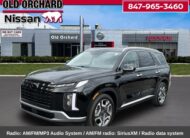 2025 Hyundai Palisade SEL Premium SUV