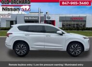 2023 Hyundai Santa Fe Calligraphy SUV
