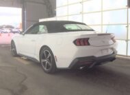 2024 Ford Mustang Ecoboost Premium Convertible