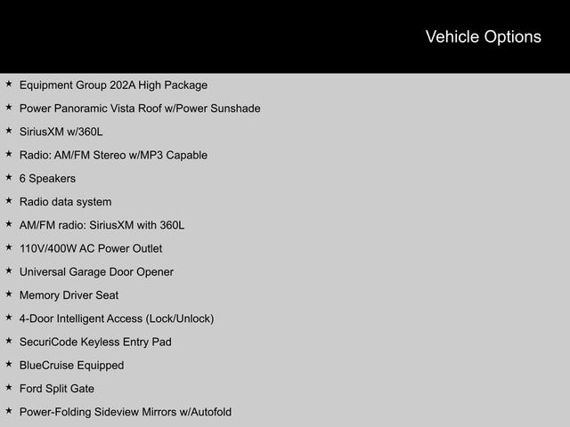 2025 Ford Expedition Active SUV