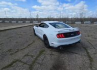 2019 Ford Mustang GT Premium Coupe