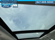 2025 Ford Expedition Platinum SUV