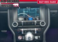 2019 Ford Mustang GT Premium Coupe
